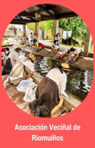 Concello de tui (18)