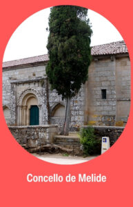 Concello de tui (21)