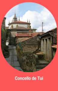 Concello de tui (25)